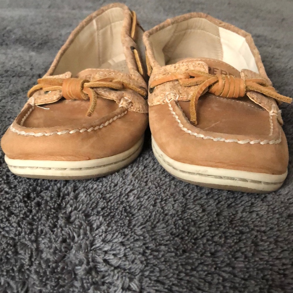 Angelfish topsider - Picture 4 of 6